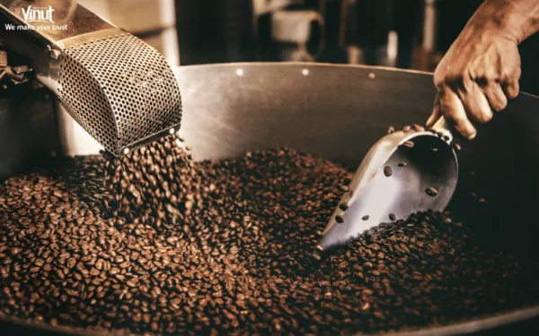 VINUT_Harvesting and Roasting