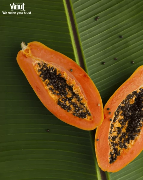 VINUT_It contains a significant amount of dietary fiber and antioxidants