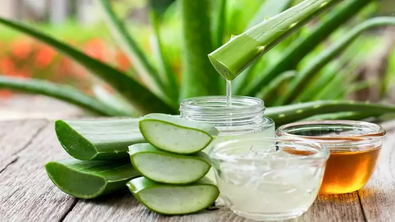 Aloe Vera and Orange Juice The Perfect Blend for Radiant Skin Aloe Vera and Orange Juice The Perfect Blend for Radiant Skin