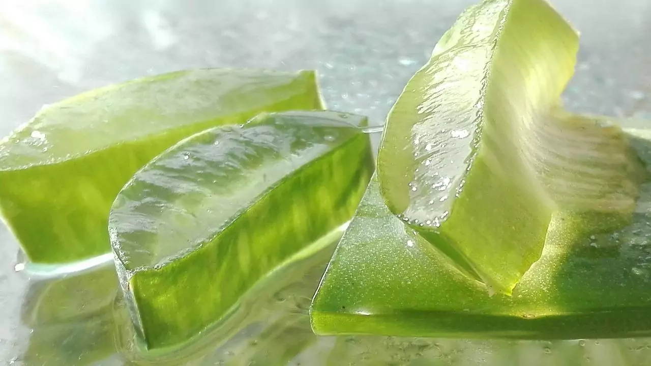 Aloe Vera Drink Zero Sugar The Ultimate Refreshing and Healthy Beverage Aloe Vera Drink Zero Sugar The Ultimate Refreshing and Healthy Beverage