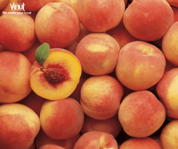 VINUT_Hale Haven Peaches