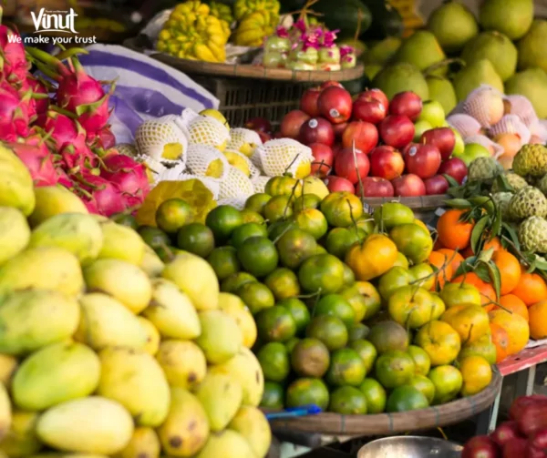 VINUT_Fruits in Vietnam VINUT_Fruits in Vietnam