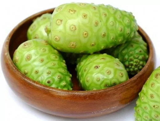 Noni Juice Benefits