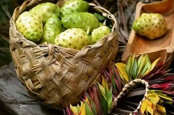 Noni Juice Benefits