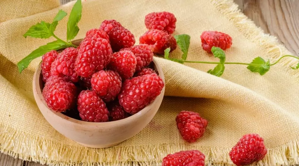 Raspberry Juice Benefits and Side Effects 10 Health Benefits of Raspberries Raspberry Juice Benefits and Side Effects 10 Health Benefits of Raspberries