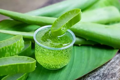 Watermelon and Aloe Vera Juice Benefits A Refreshing Drink for Health 4 Watermelon and Aloe Vera Juice Benefits A Refreshing Drink for Health