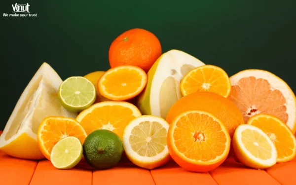 VINUT_Citrus Fruits VINUT_Citrus Fruits