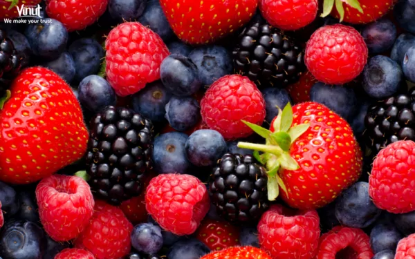 VINUT_Berries