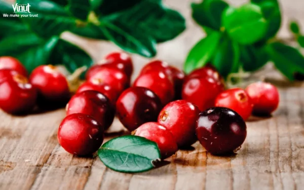 VINUT_Cranberries