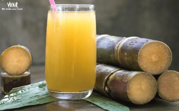 VINUT_Sugarcane Juice – Nature’s Sweet Nectar VINUT_Sugarcane Juice – Nature’s Sweet Nectar