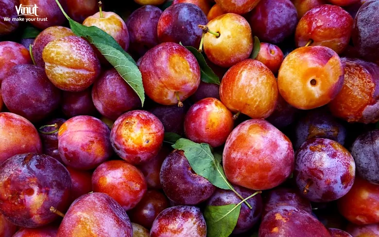 Nutritional Benefits of Plums: A Health Powerhouse 2 VINUT_Nutritional Overview of Plums