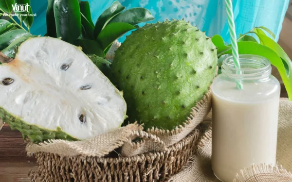 VINUT_Soursop