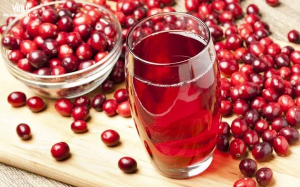 VINUT_Cranberry Juice: A Natural Remedy for Urinary Tract Infections