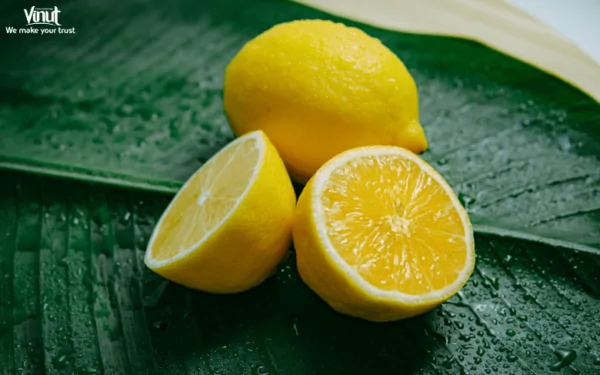 VINUT_The Health Wonders of Lemons VINUT_The Health Wonders of Lemons