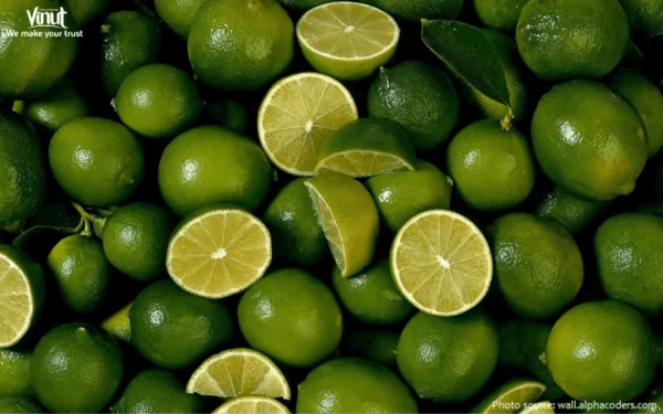 VINUT_Limes VINUT_Limes