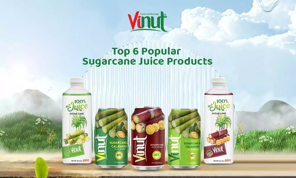 Top 6 Popular Sugarcane Juice Products