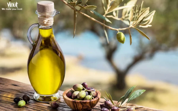 VINUT_ Olive Oil Production