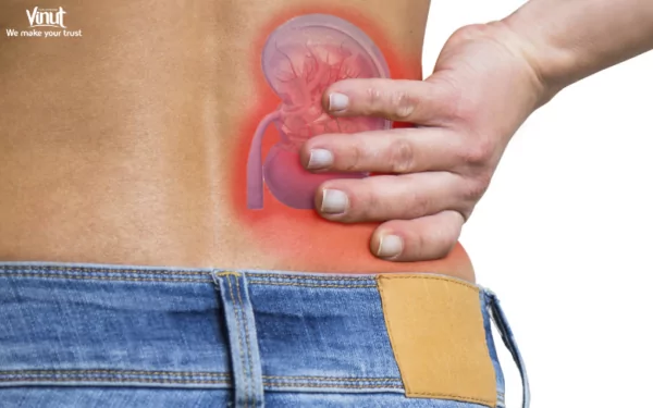 VINUT_May help prevent kidney stones