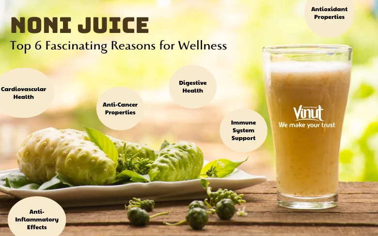 Noni Juice: Top 6 Fascinating Reasons for Wellness