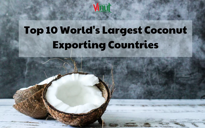 Top 10 World's Largest Coconut Exporting Countries