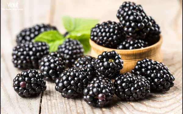 VINUT_Blackberries