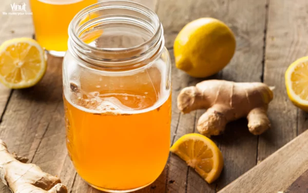 VINUT_Kombucha VINUT_Kombucha