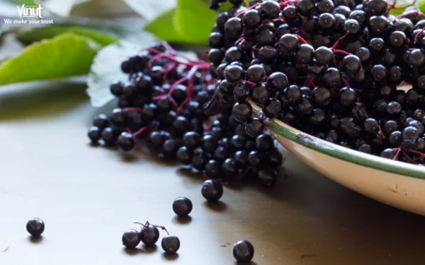 VINUT_Acai Berries