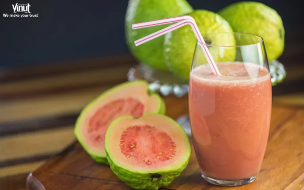 VINUT_The Origins of Guava Juice VINUT_The Origins of Guava Juice