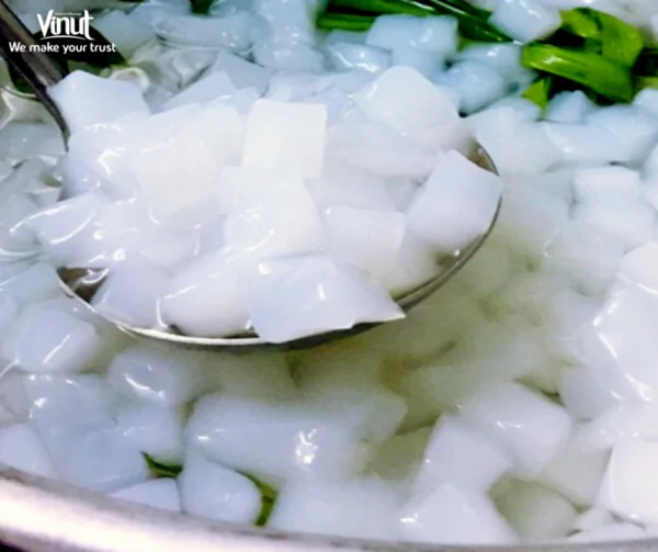 VINUT_The Origin of Nata de Coco VINUT_The Origin of Nata de Coco