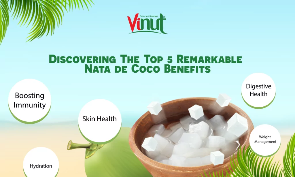 Discovering The Top 5 Remarkable Nata de Coco Benefits Discovering The Top 5 Remarkable Nata de Coco Benefits