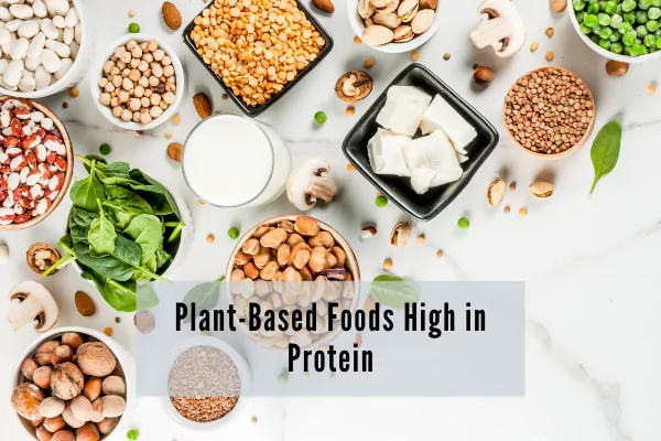 Plant-based Protein The Best, the Worst, and Everything In Between 3 Plant-based Protein The Best, the Worst, and Everything In Between