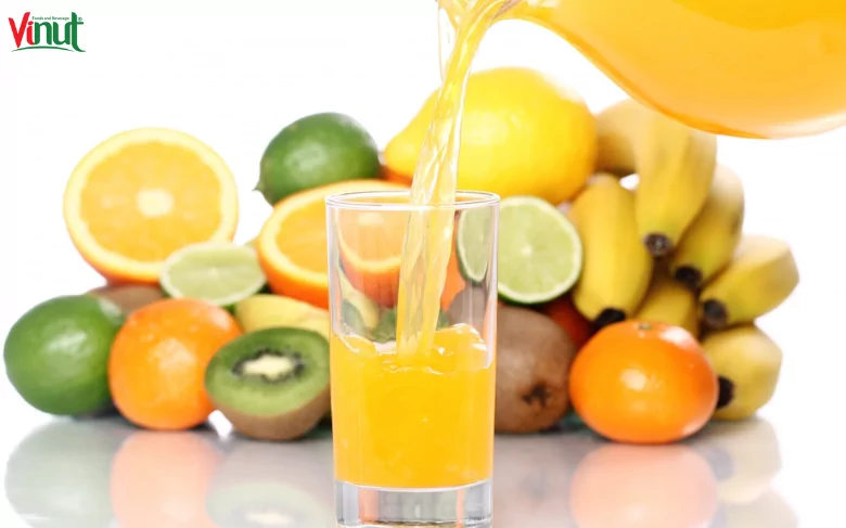 Top 5 Juice for Diet: A Comprehensive Guide to Harnessing Nature's Elixir for Weight Loss 3 VINUT_The Science Behind Juice for Diet