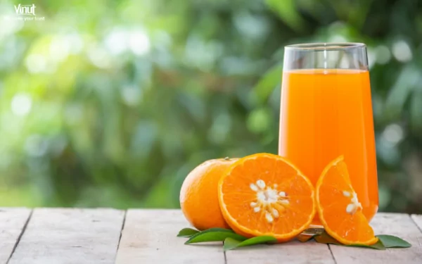 VINUT_Orange Juice VINUT_Orange Juice