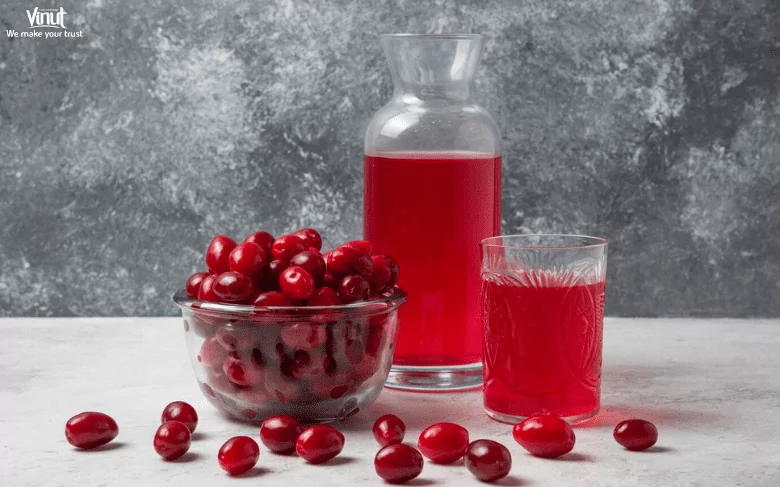 Top 8 Most Popular Juices Around The World 7 VINUT_Cranberry Juice