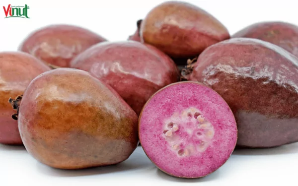 VINUT_Red Malaysian Guava