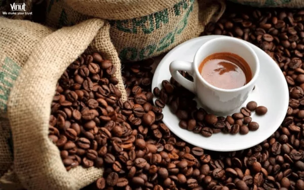 VINUT_Caffeine Content and Comparison