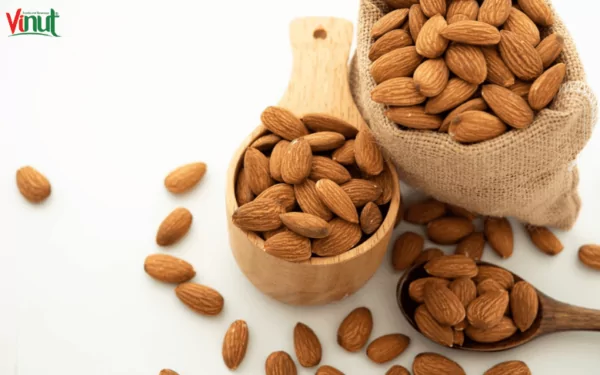 VINUT_Almonds