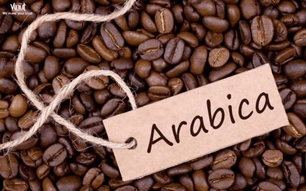 VINUT_Arabica Beans