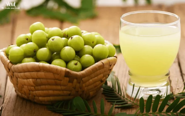 VINUT_Amla Juice VINUT_Amla Juice