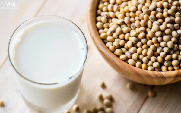 VINUT_The Lactose-Free: Soy Milk as an Alternative for Dairy Milk VINUT_The Lactose-Free: Soy Milk as an Alternative for Dairy Milk