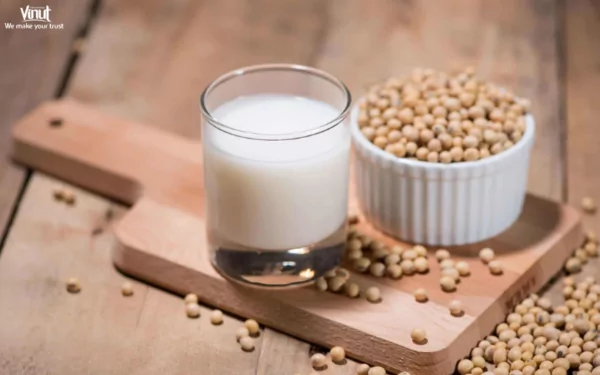 VINUT_The Eco-Friendly Option: Sustainability and Soy Milk VINUT_The Eco-Friendly Option: Sustainability and Soy Milk
