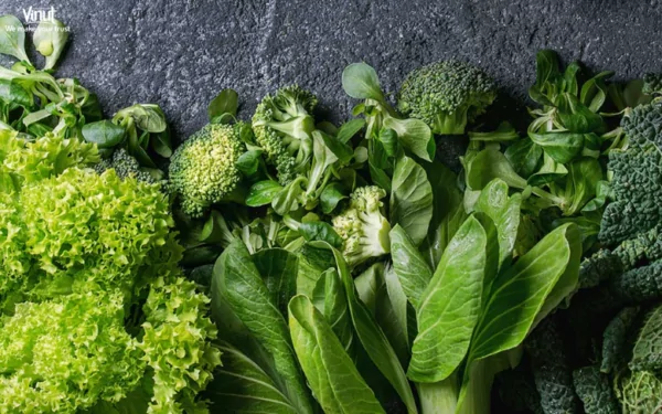 VINUT_Leafy Greens VINUT_Leafy Greens