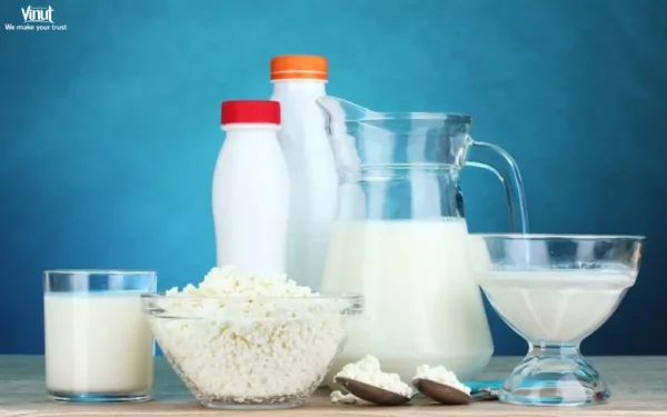 VINUT_How Does Rice Milk Compare to Other Dairy Alternatives?