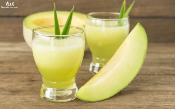 VINUT_What Exactly is Melon Juice?