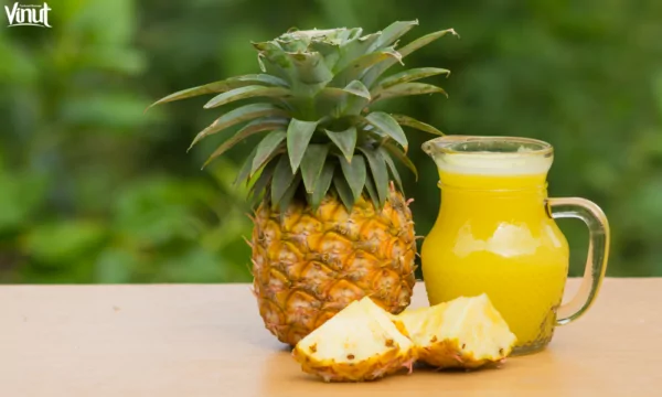 VINUT_Pineapple Juice