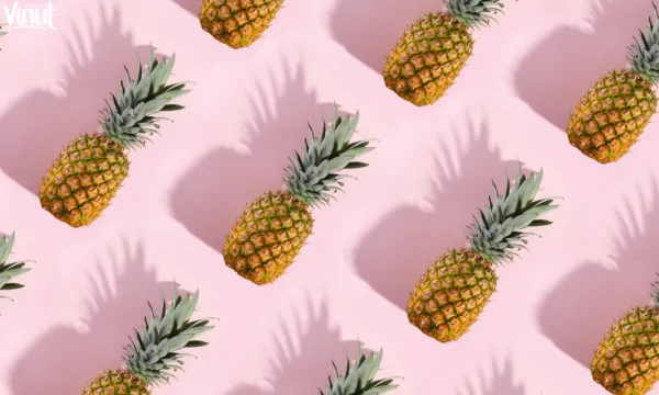 VINUT_Pineapple: A Tropical Marvel