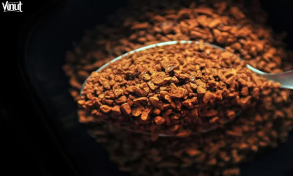 VINUT_Freeze-Drying VINUT_Freeze-Drying
