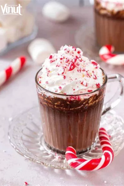 VINUT_ Peppermint Hot Cocoa: A Refreshing Twist VINUT_ Peppermint Hot Cocoa: A Refreshing Twist
