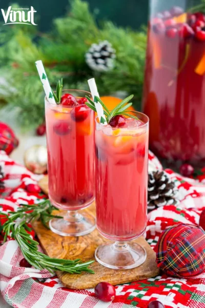 VINUT_Christmas Punch