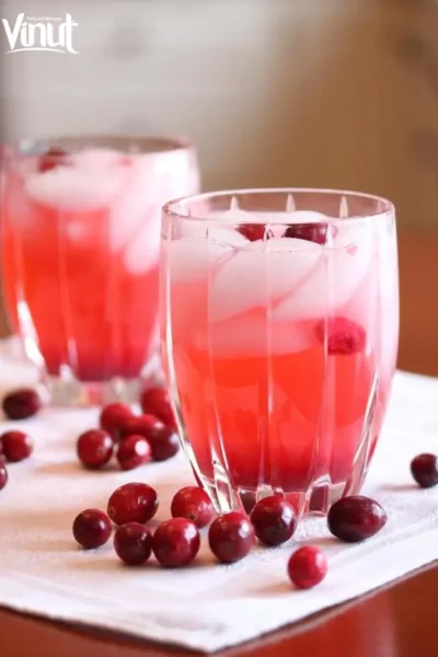 VINUT_Cranberry Spritzer VINUT_Cranberry Spritzer